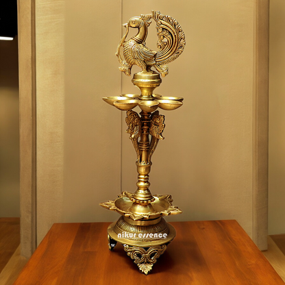 Large Solid Brass Peacock Diya Lamp - 59 cm Nikuressence