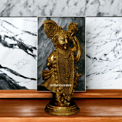 Lord Shrinath ji Brass statue - 11 inches Nikuressence