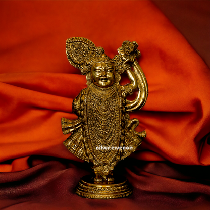 Lord Shrinath ji Brass statue - 11 inches Nikuressence