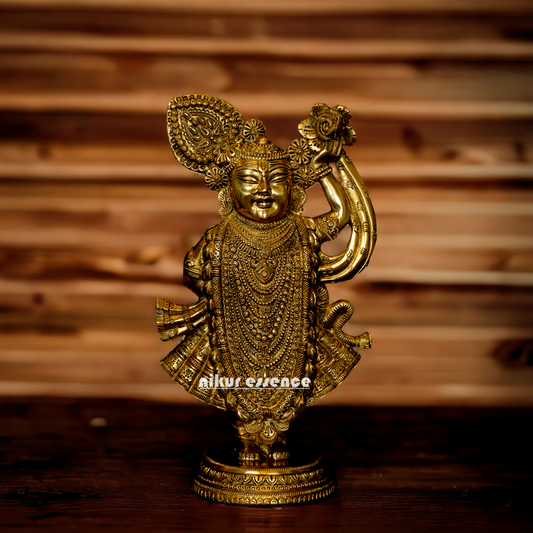 Lord Shrinath ji Brass statue - 11 inches Nikuressence