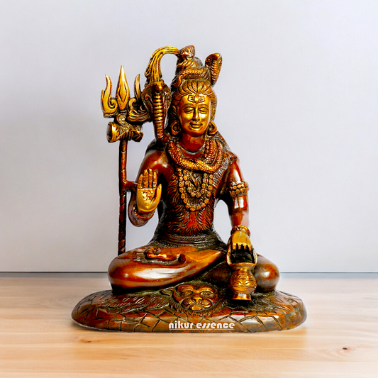Shop Shiva With Blessing Brass idol - 10 inches Nikuressence
